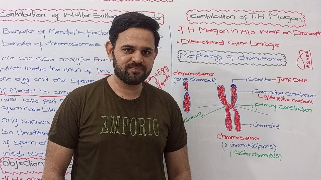 Chromosome and DNA | Chromosomal Theory of inheritance | Part 2 | FBISE | NBF | Class 11