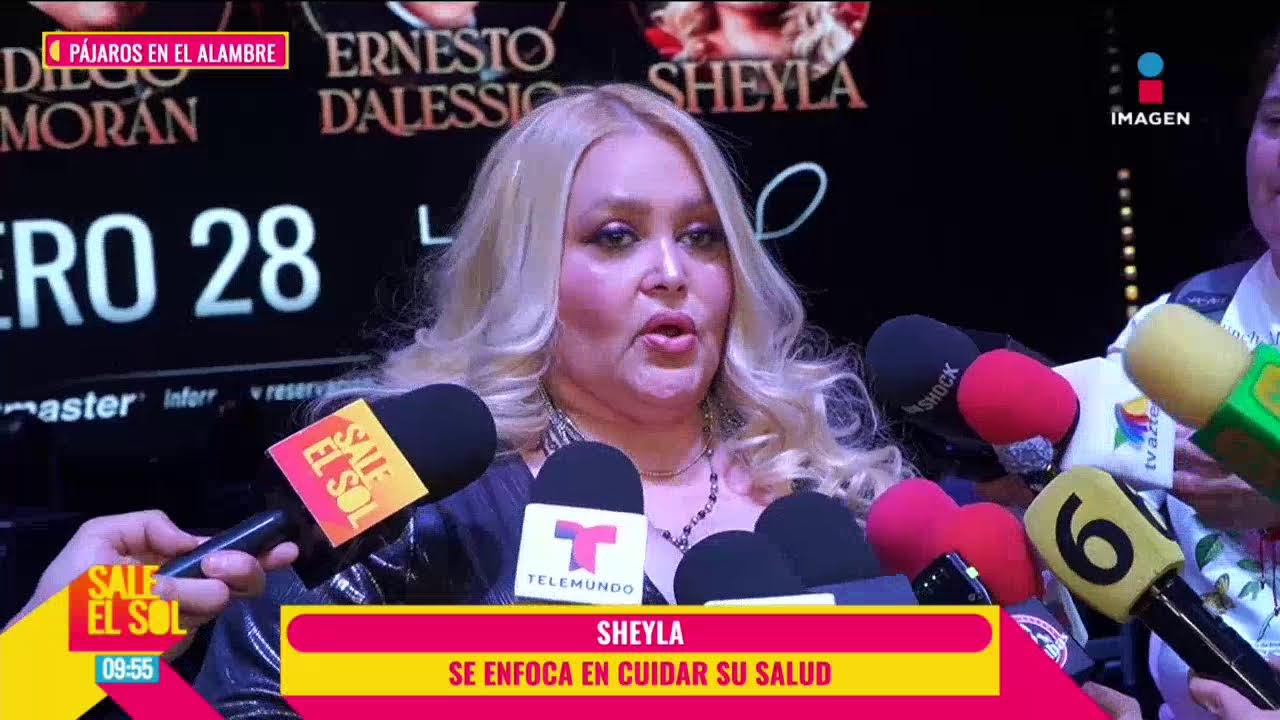 EN VIVO: Lo MEJOR de los ESPECT&Aacute;CULOS con los #P&aacute;jarosEnElAlambre | Sale el Sol