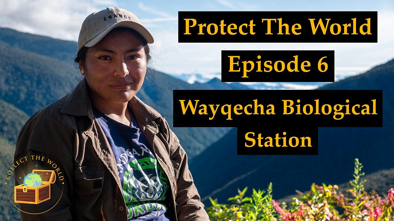 Protect The World: Episode 6 &ndash; Wayqecha Biological Station