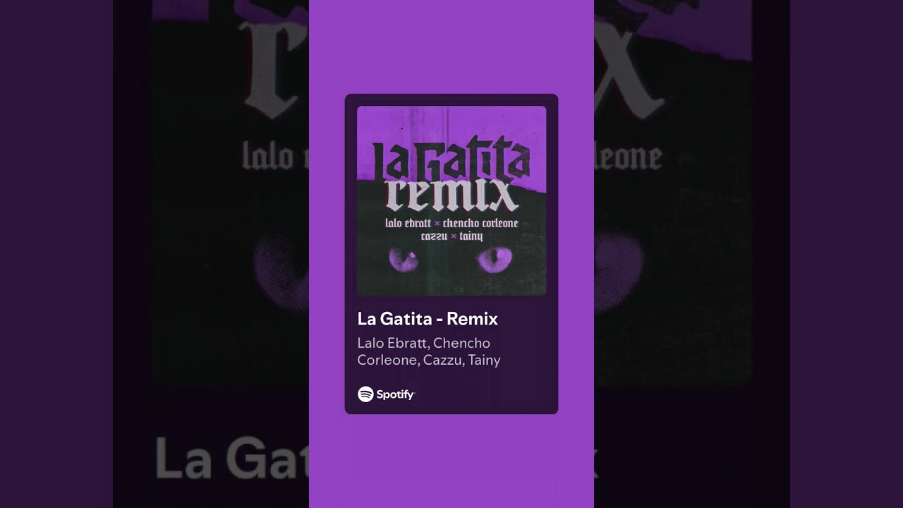 la gatita 