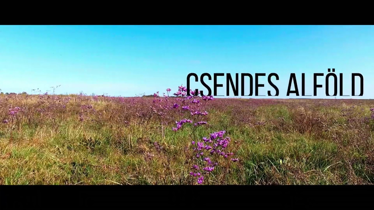Csendes Alföld | Drónfelvétel (2019)