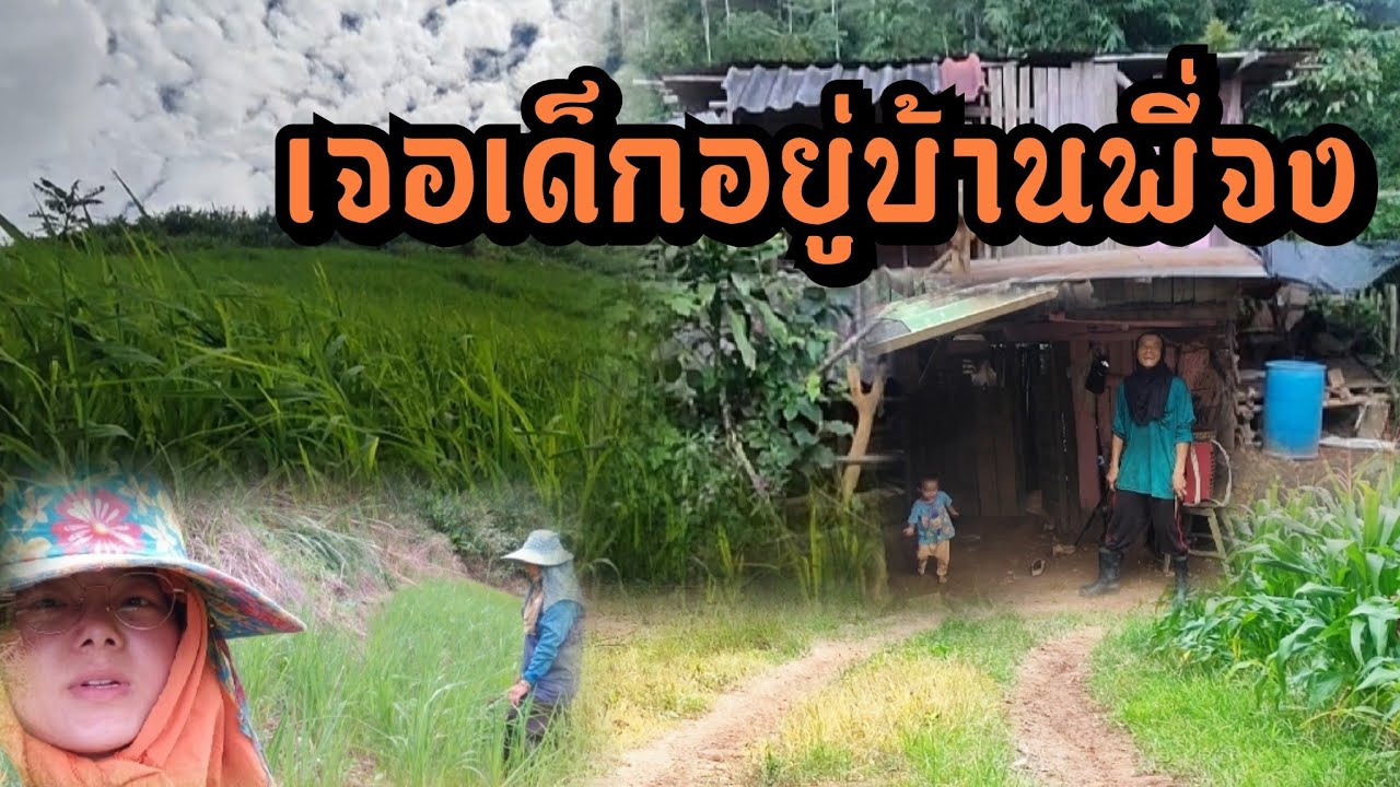 บ้านพี่จงสร้างได้ 4 ปีแล้ว!!! สร้างตอนญาญ่าไม่อยู่ พี่จงขยันไม่เคยพัก ถางหญ้าข้าวลืมผัว!