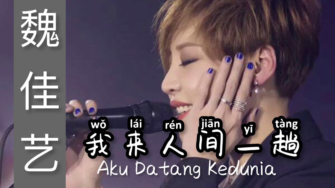 我来人间一趟 - Wo Lai Ren Jian Yi Tang - Wei Jia Yi - 魏佳艺 - Lagu Mandarin Subtitle Indonesia - Pinyin