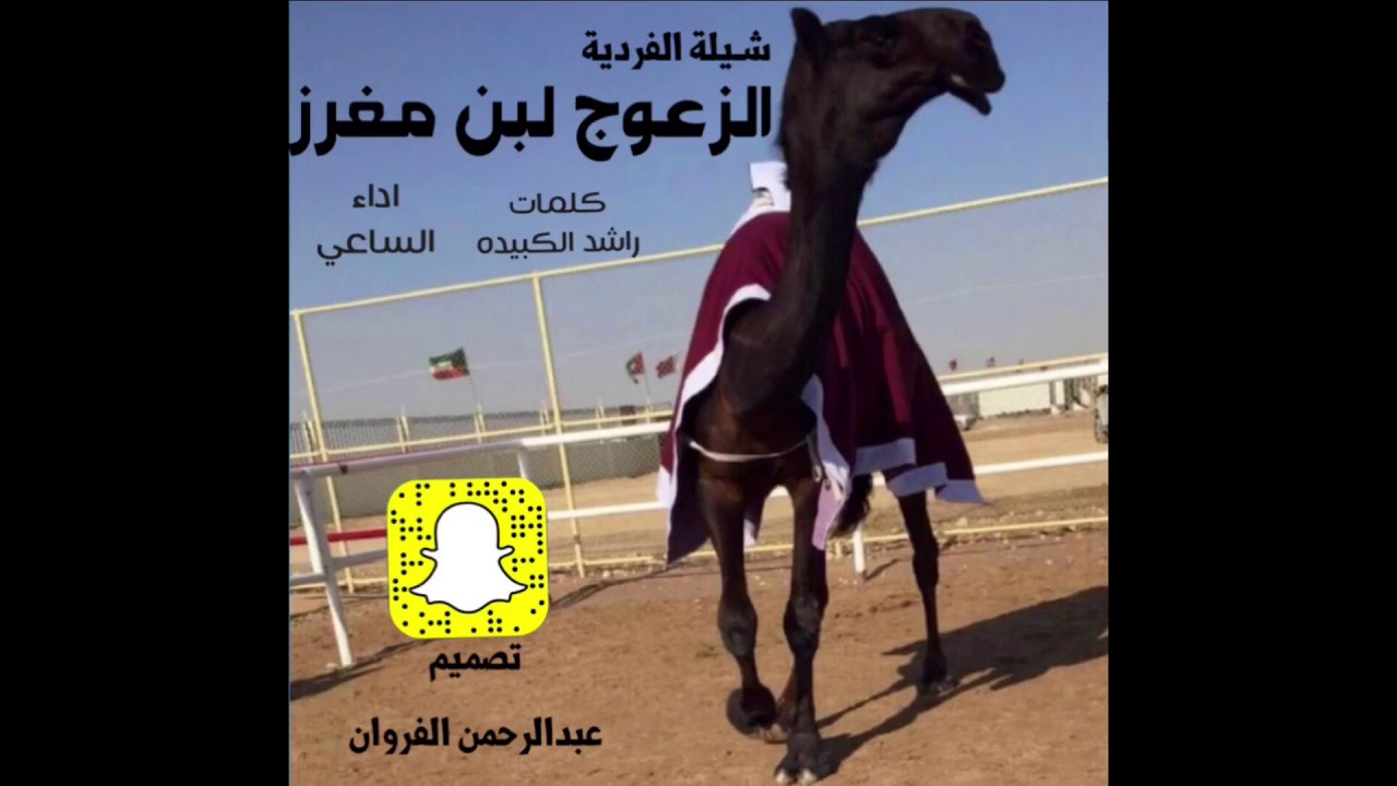 شيلة الزعوج حصرياً || الزعوج||حصرياً||