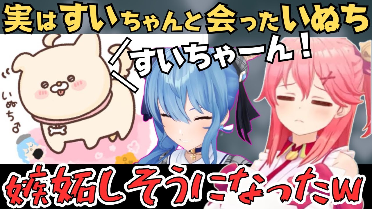 すいちゃんに懐くいぬちとそれに嫉妬するみこちのいぬち雑談が面白すぎたw【さくらみこ 切り抜き／ホロライブ】