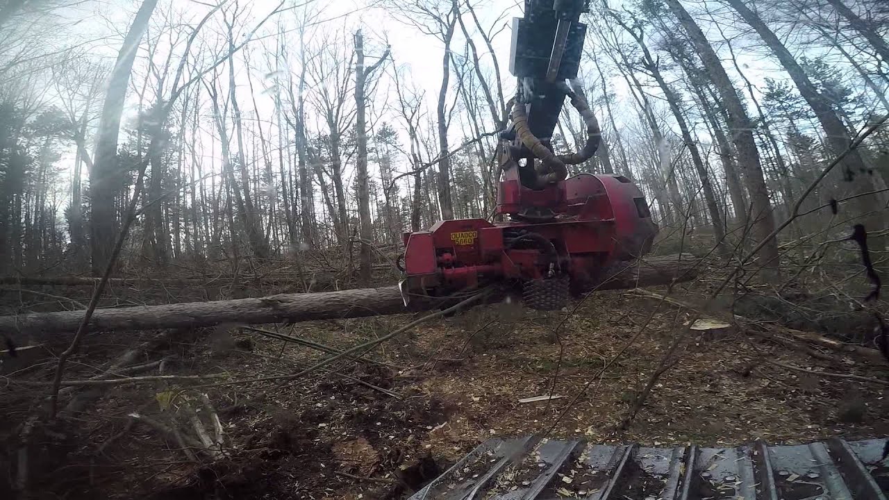 Cat 521 with quadco 5660