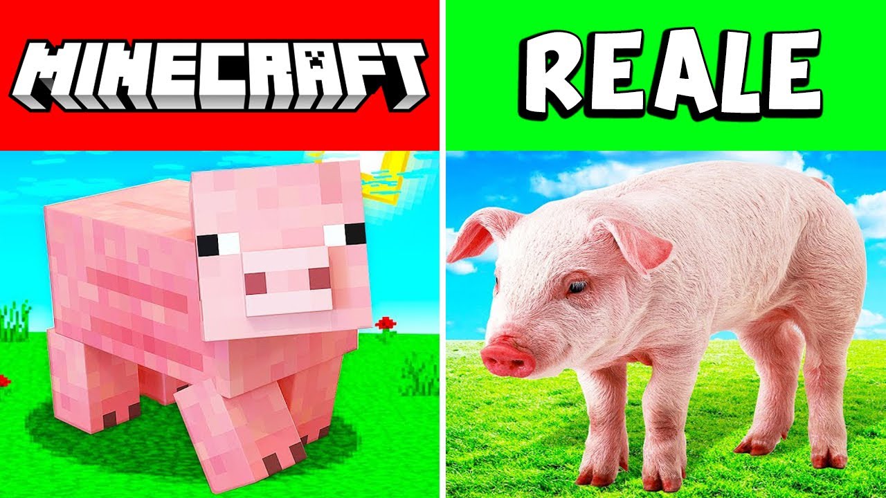 GLI ANIMALI DI MINECRAFT NELLA VITA REALE