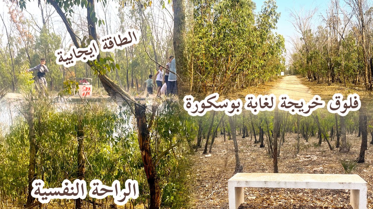 خريجة للغابة بوسكورة واااو على جو 😱وعلى مناظر الى مزال ممشيتيش ضروري تشوفي 😳الفيديو#4k 
