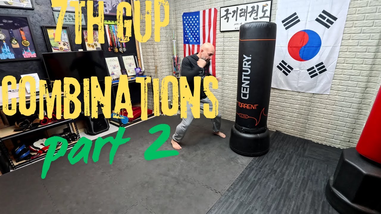 7th Gup or High Yellow belt Combinations Part 2: