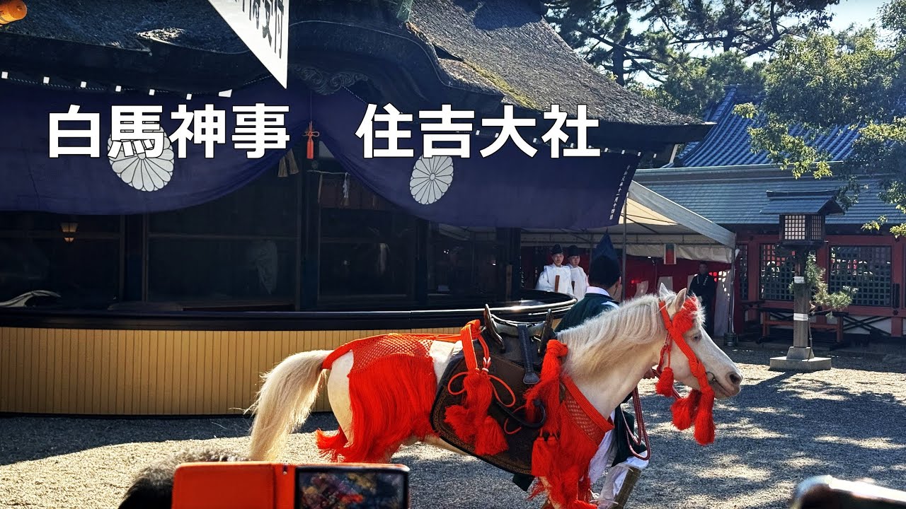 白馬神事　住吉大社　2026年1月7日