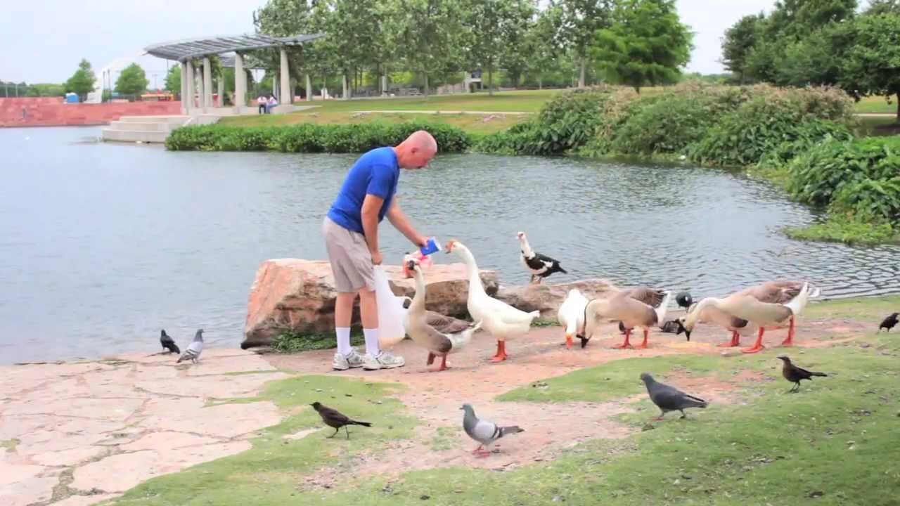 Mueller Austin - Realty Austin Neighborhood Profile
