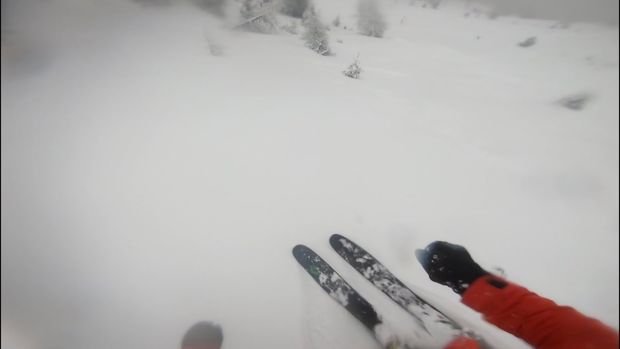 Freeride skiing in Folgarida, Marilleva, Val di Sole, Dolomiti di Brenta, Monte Vigo. Narty