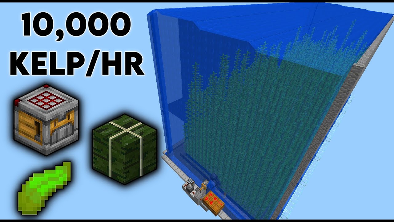 Auto Crafter for Fast and Easy Kelp Farm (best fuel) Minecraft [TUTORIAL]  1.13-1.21.11+ Minecraft
