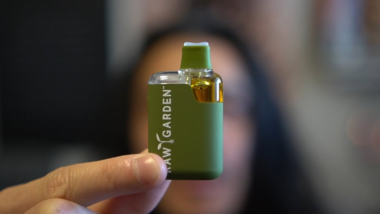THE NEW ALL-IN-ONE RAW GARDEN DISPOSABLE