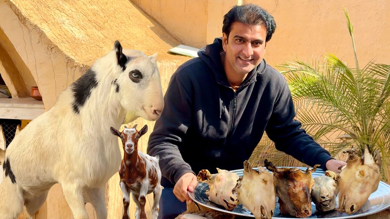 Aaj Bakriyon K Heads Pka Diay||How to Cook Goat Head||Wahab Kamran
