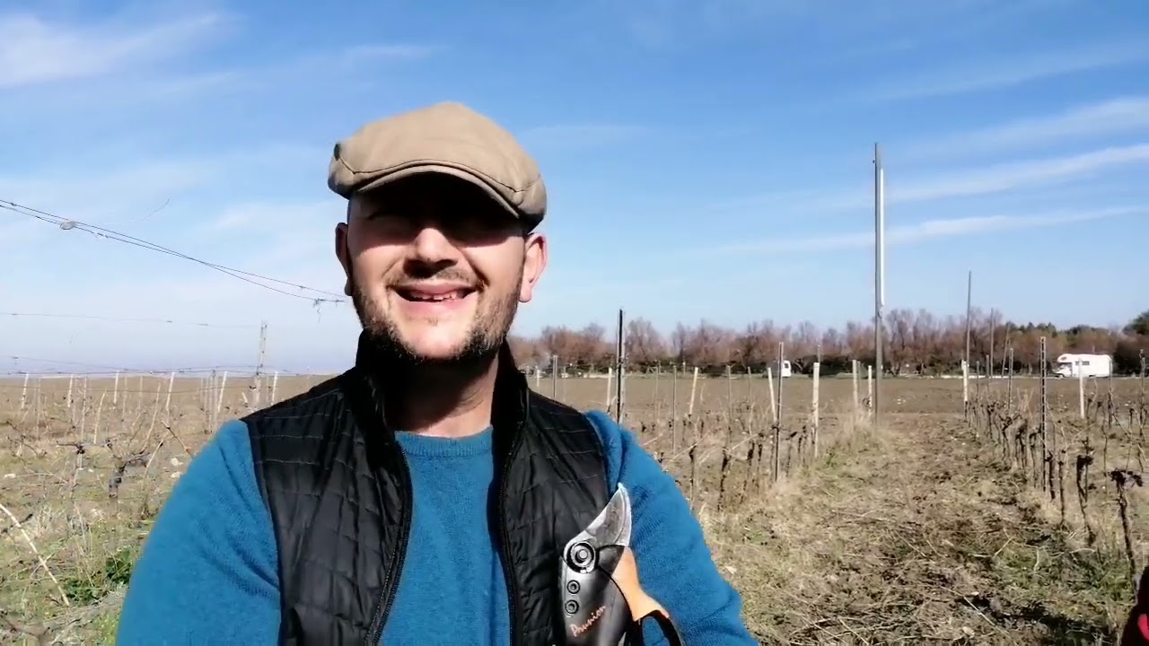 Protesta dei trattori: “Dietrofront Europa a dir poco tardivo, è in atto una rivoluzione”