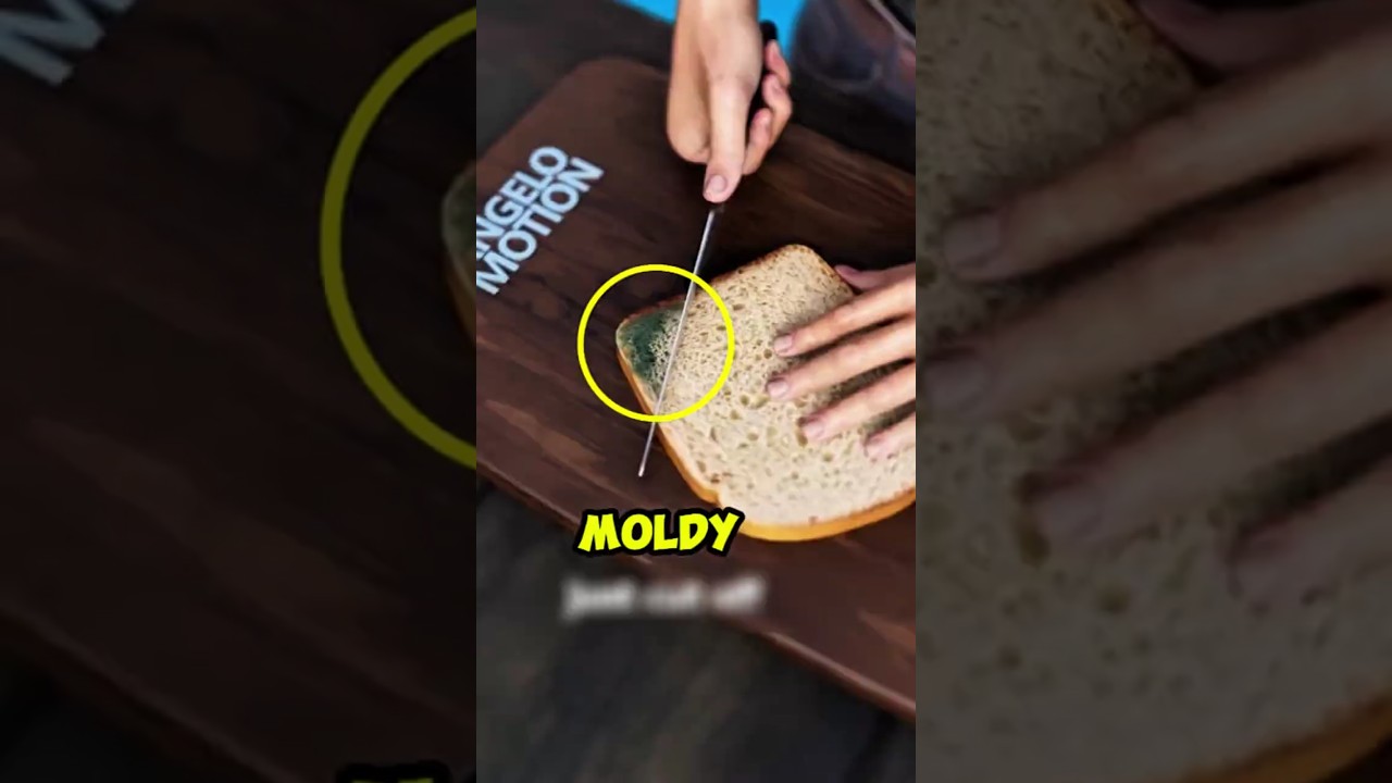 If You Ever See Mold on Your Food, DON&rsquo;T Just Cut It Off! 😳🍞