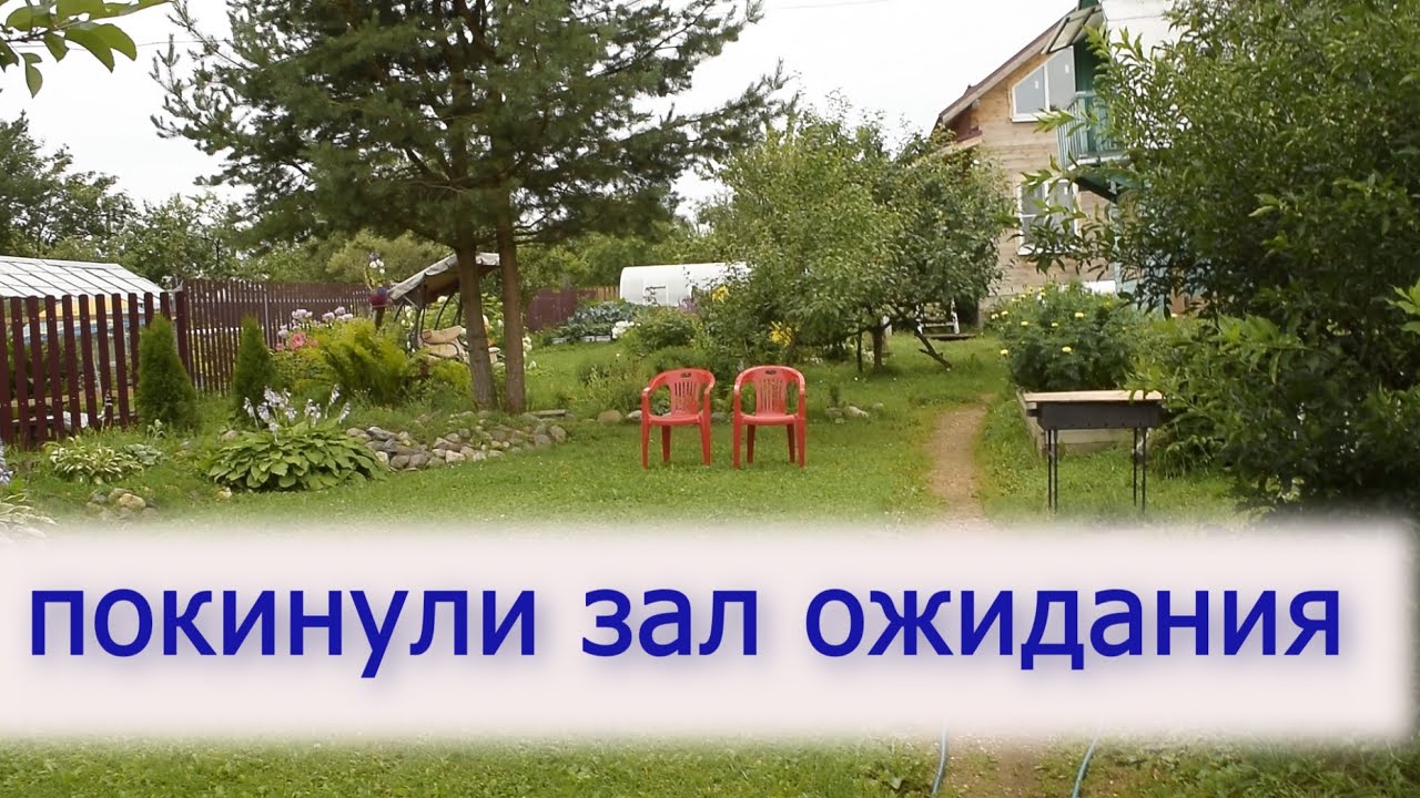ПЕРВАЯ ТРЕНИОВКА молодых голубей на 20 км.