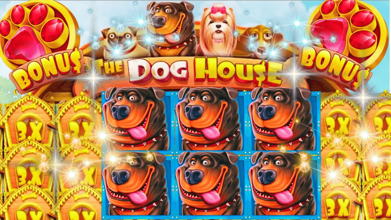 10 000&euro; ACHAT BONUS SUR DOG HOUSE 😲🤪