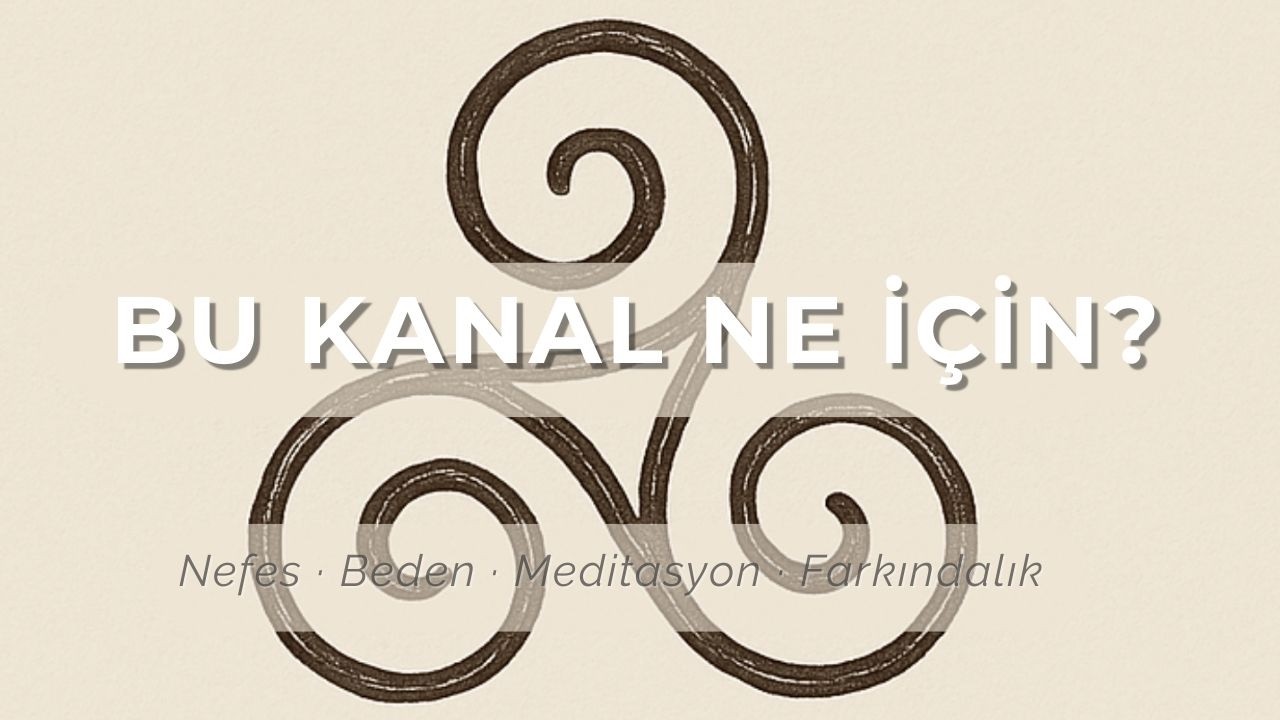 Pranaxis | Nefes, Beden ve Farkındalık Hayatın İçinde Nasıl Birlikte Çalışır?