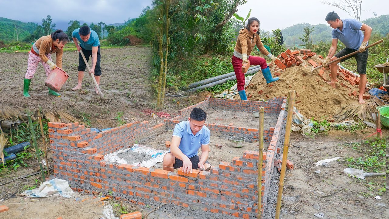 Plant New corn Crop in Large Field - Build a Brick Pig Pen | Cuong Ngan - Live with nature