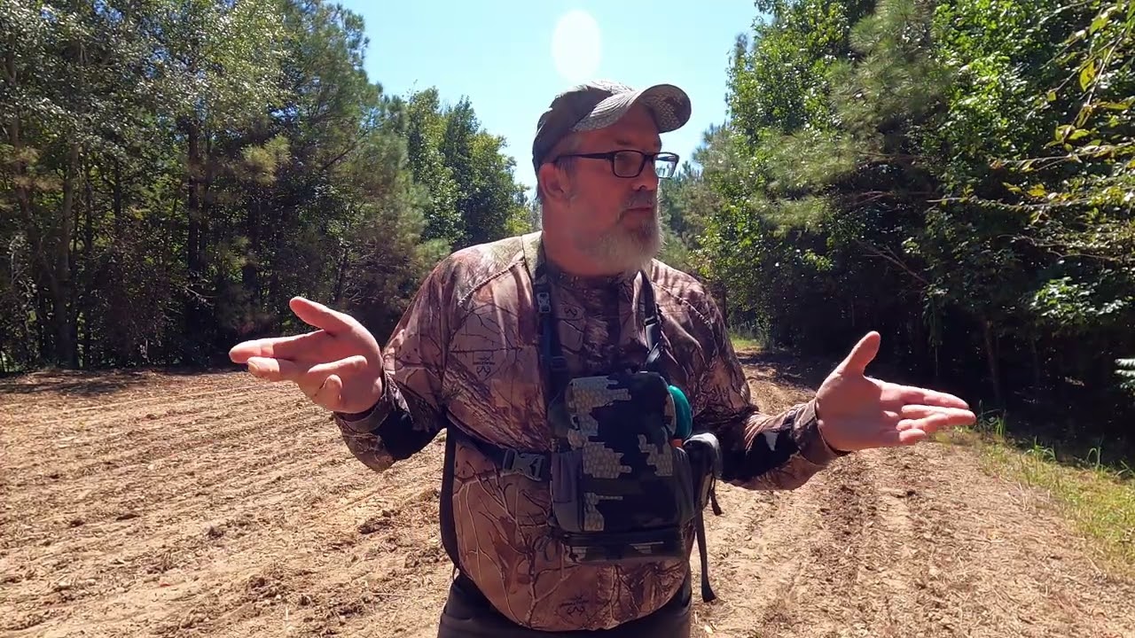 Hunting Public land Food Plots!