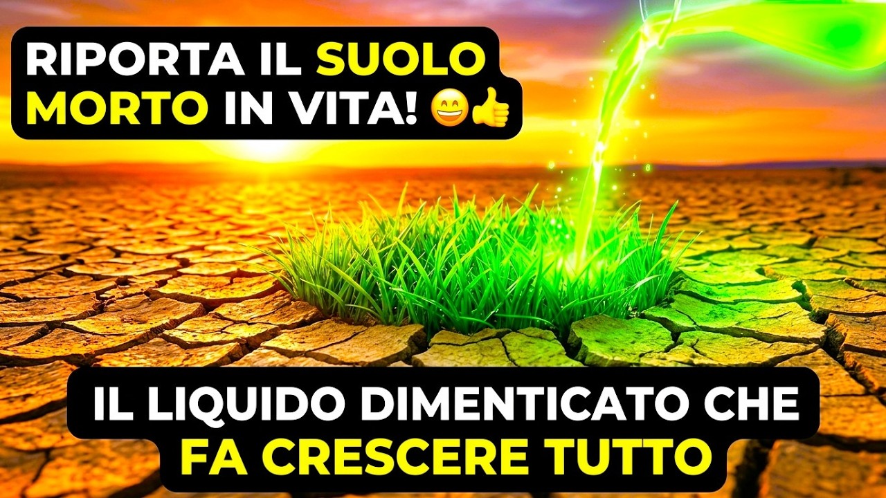 Questo Liquido Antico Rianima Subito il Suolo Morto – Senza Bisogno di Concime!