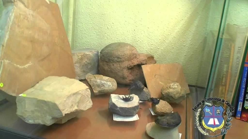 Video Perito Judicial en Paleontologia y master