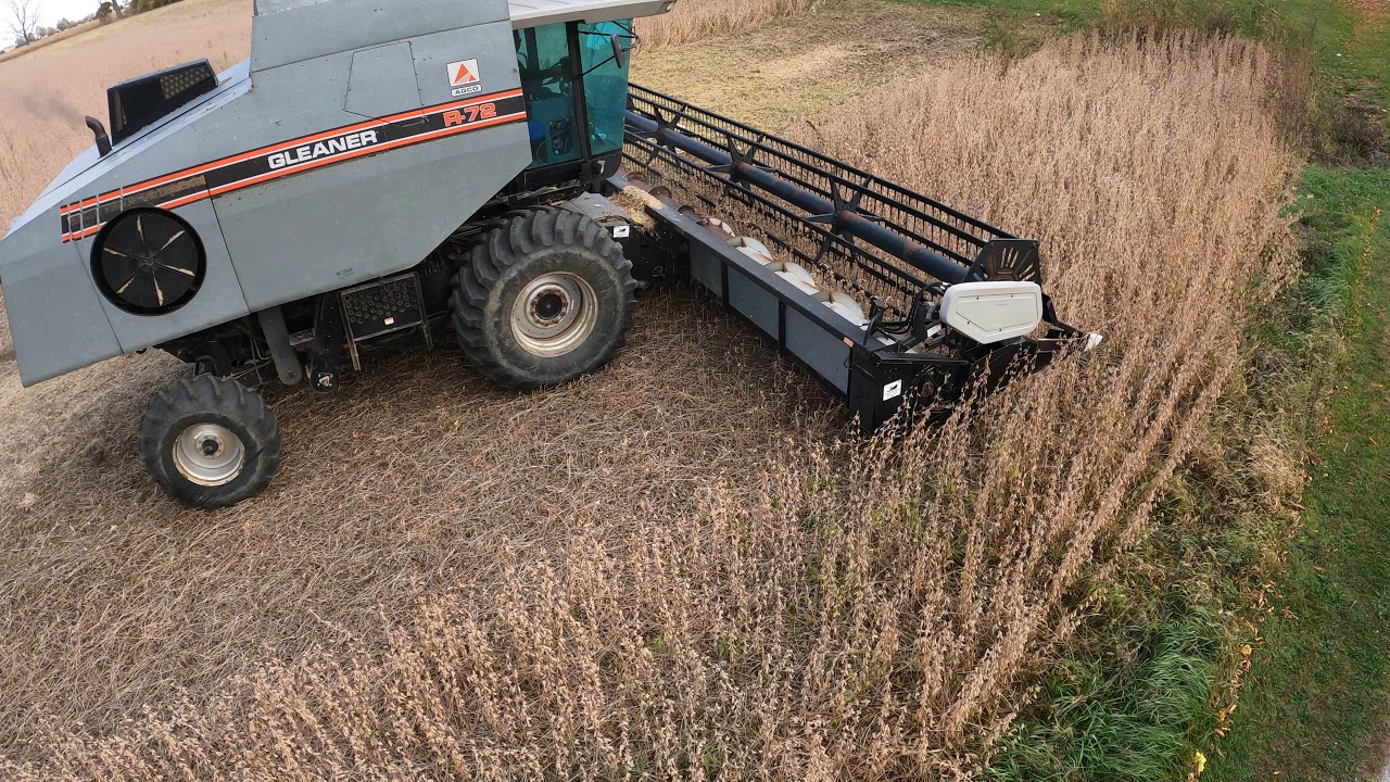 The Grey Beast - Powerful Sound - 1992 AGCO R72 Gleaner Combine - Lenawee County - Harvest 2020 -5K