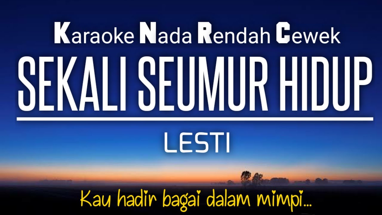 Lesti - Sekali Semur Hidup 🎤Karaoke Nada Rendah‼️