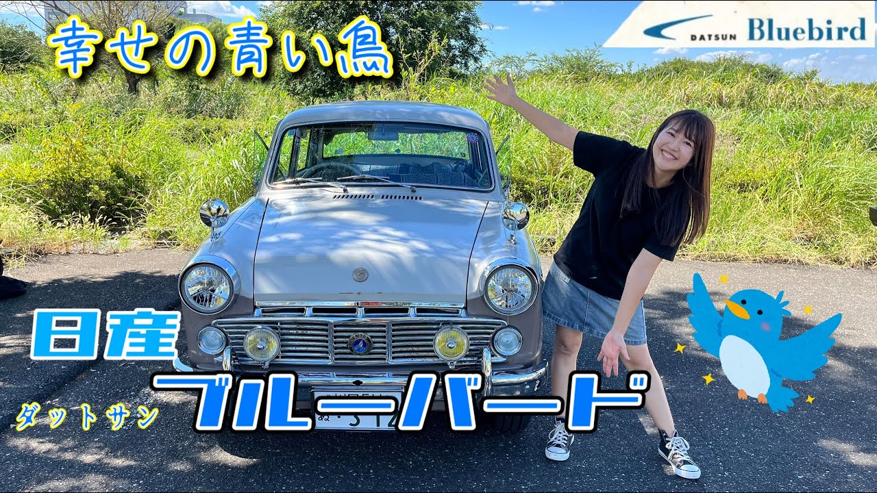 【旧車シリーズ】NISSAN Bluebird /ニッサン　ブルーバード,オーナーさんに魅力を教えてもらいます！