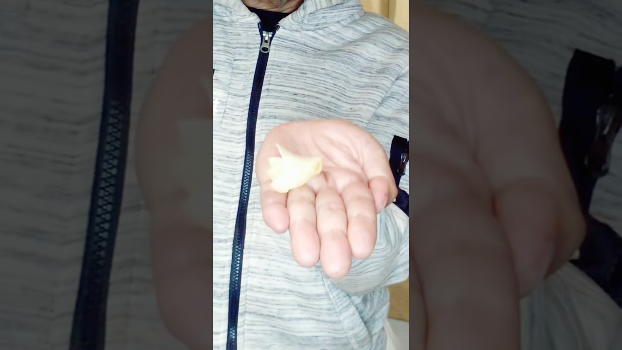Rubber-band chip Break magic tutorial