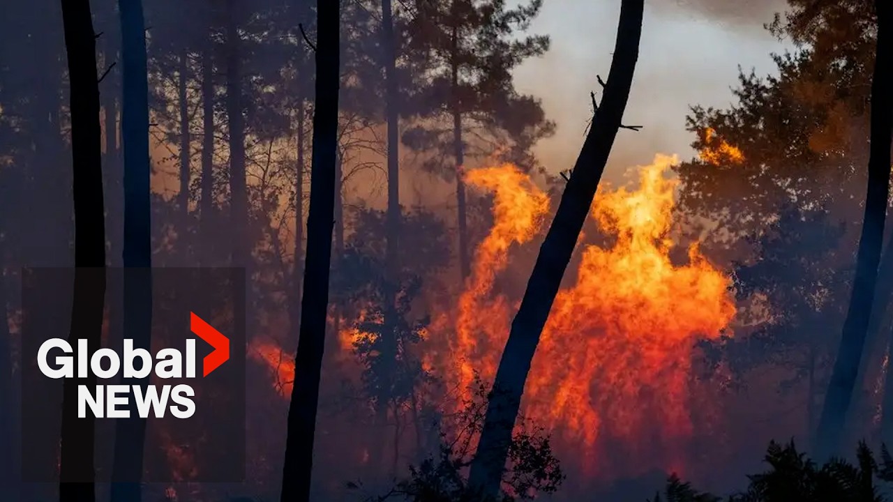 &ldquo;Ecological disaster&rdquo;: What the wildfires in Spain and France indicate for Europe&rsquo;s future
