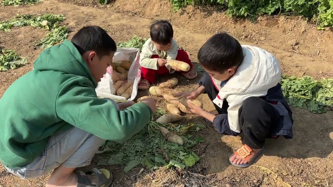 白萝卜大丰收了！4个小帮手能干又勤快，全程帮忙制作萝卜干【一帆妈妈】