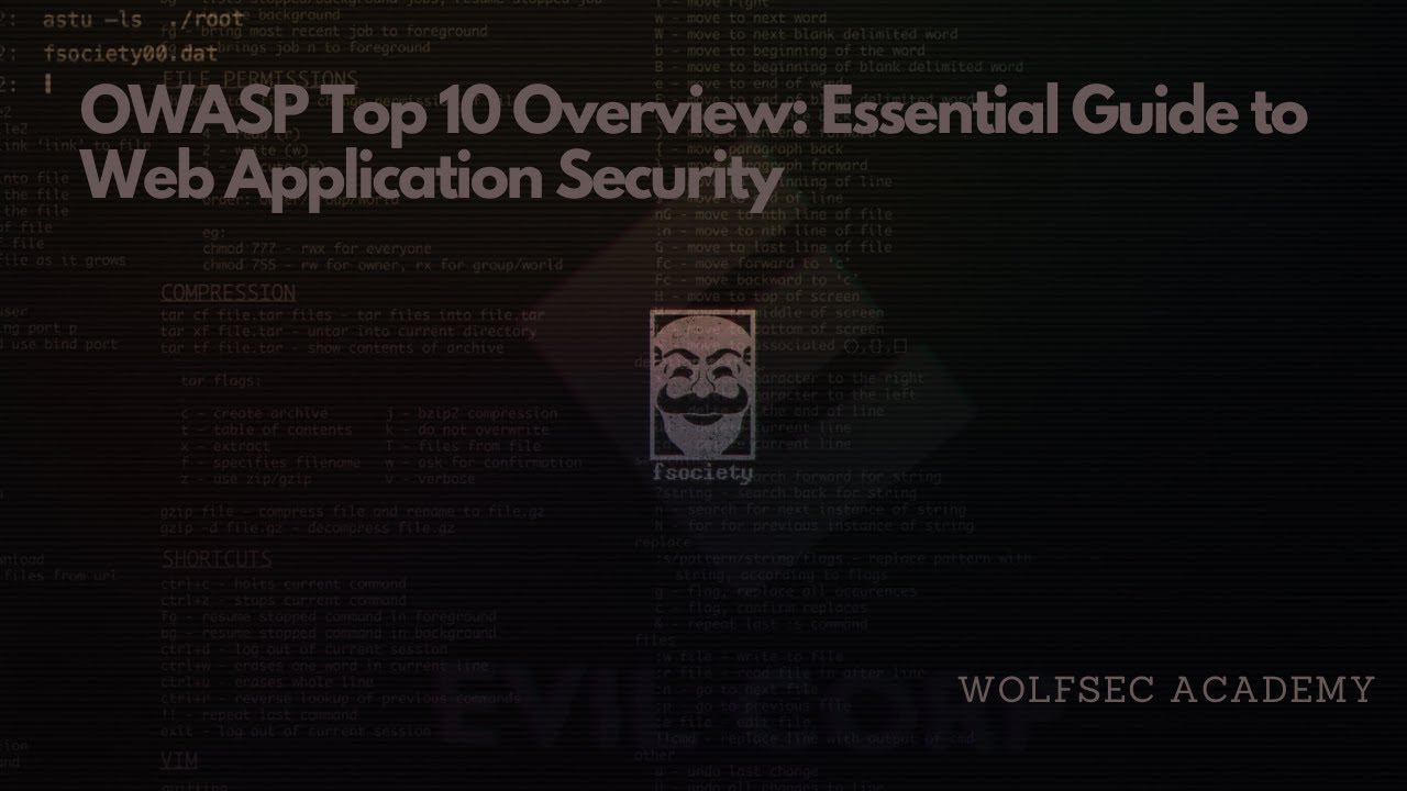 OWASP Top 10 Overview: Essential Guide to Web Application Security