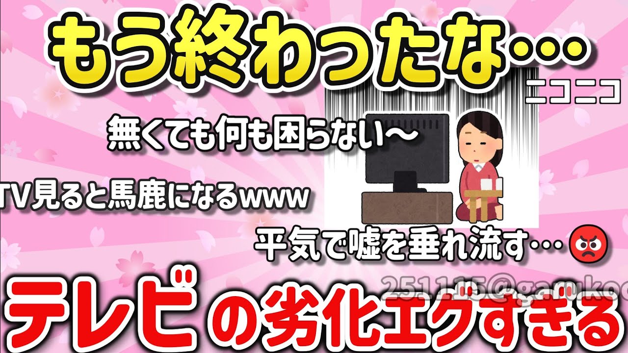 【有益スレ】マジでテレビは大嫌い！実は好き？【ガルちゃんGirlschannelまとめ】