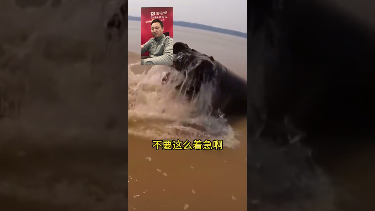 這飄過來陰沉木