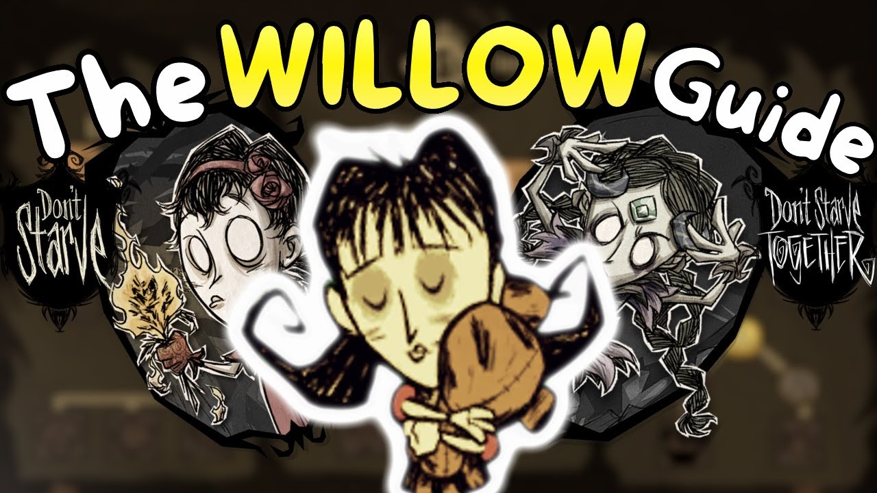 The Complete WILLOW Guide