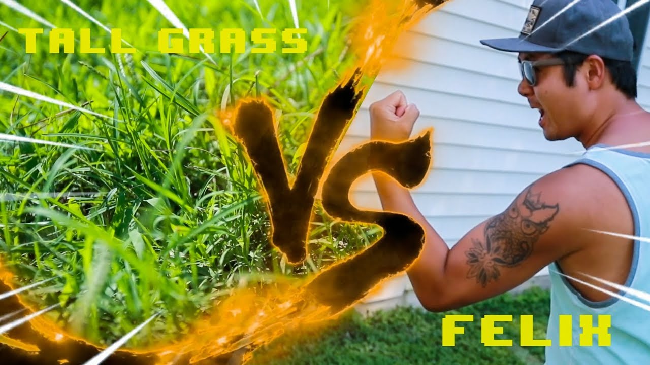 Felix vs The Lawn - Vlaugust Day 6