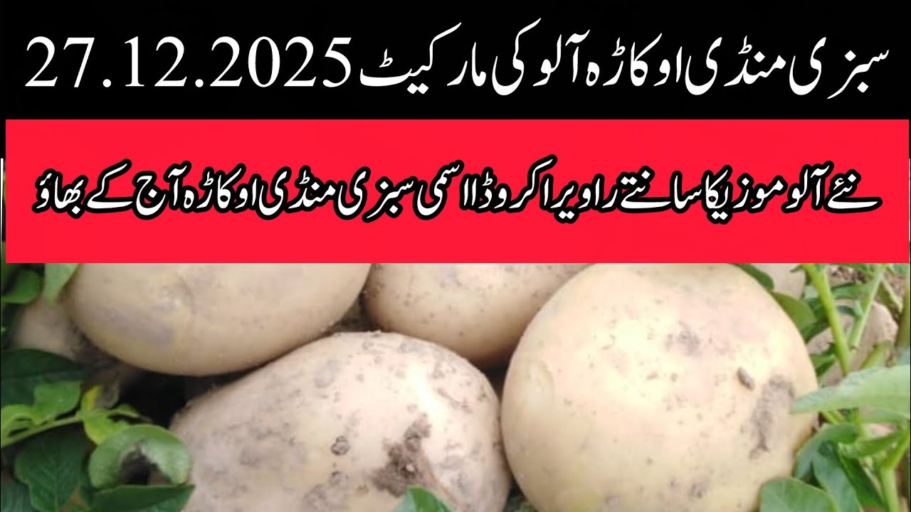 Potato mandi rate today okara mandi aalu ka rate potato price today 27.12.2025