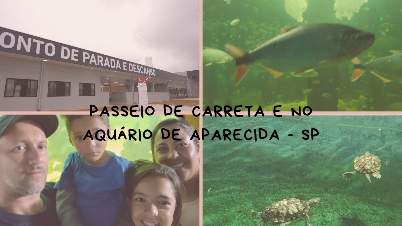 Passeio de carreta em família 