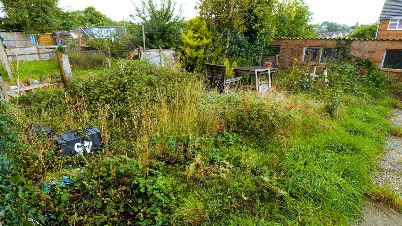 Transforming an OVERGROWN Garden Into a Safe Space