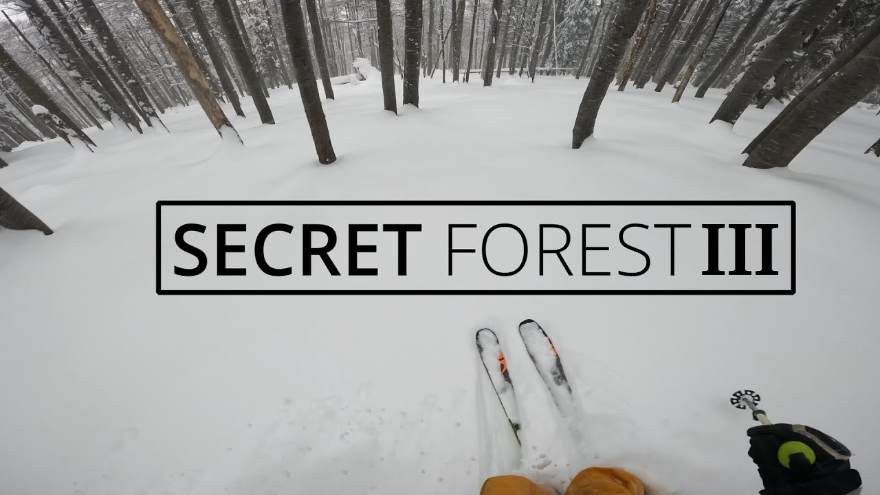Secret Forest #3 ❄️ | Powder Freeride Austria