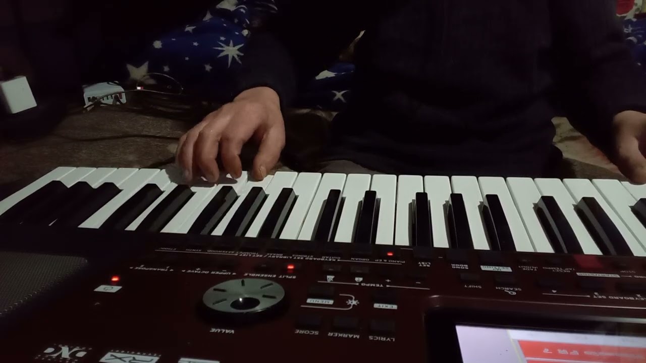 PREZENTARE TONURI DE ACORDEON -KORG PA 700 HORE ȘI CÂNTECE LENTE 🎹