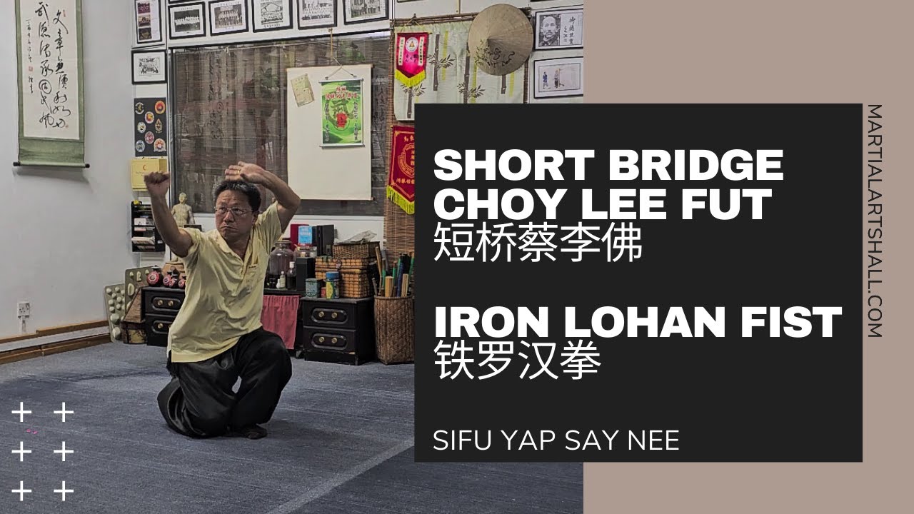 Short Bridge Choy Lee Fut: Iron Lohan Fist (短桥蔡李佛: 铁罗汉拳)