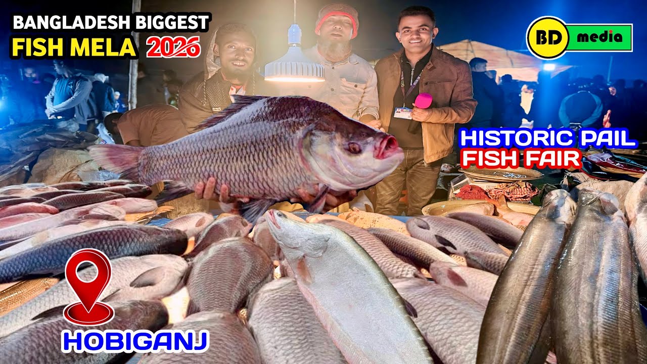 Bangladesh Biggest Fish Mela 2026 | Historic Hobiganj Pail Fish Fair হবিগঞ্জ পইল মাছের মেলা 2026