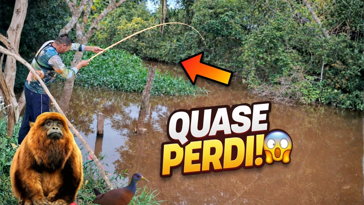 PESCARIA RAIZ NA BEIRA DO RIO! Piau e Pacu Batendo Forte o Tempo Todo 🎣🔥