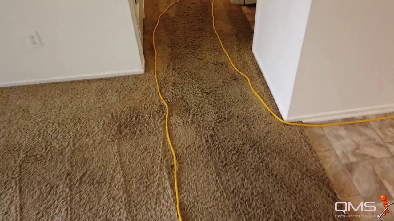 Extremely soiled carpets