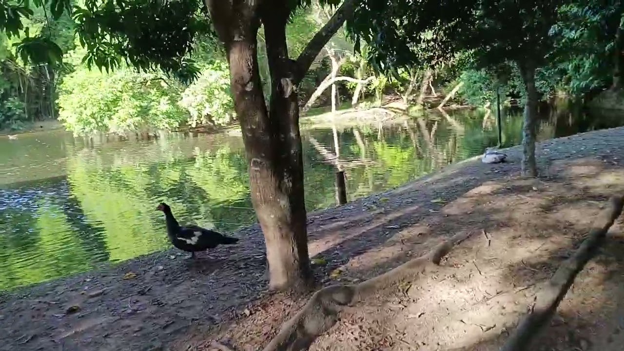 This is how life is inside of a gated community in Brazil