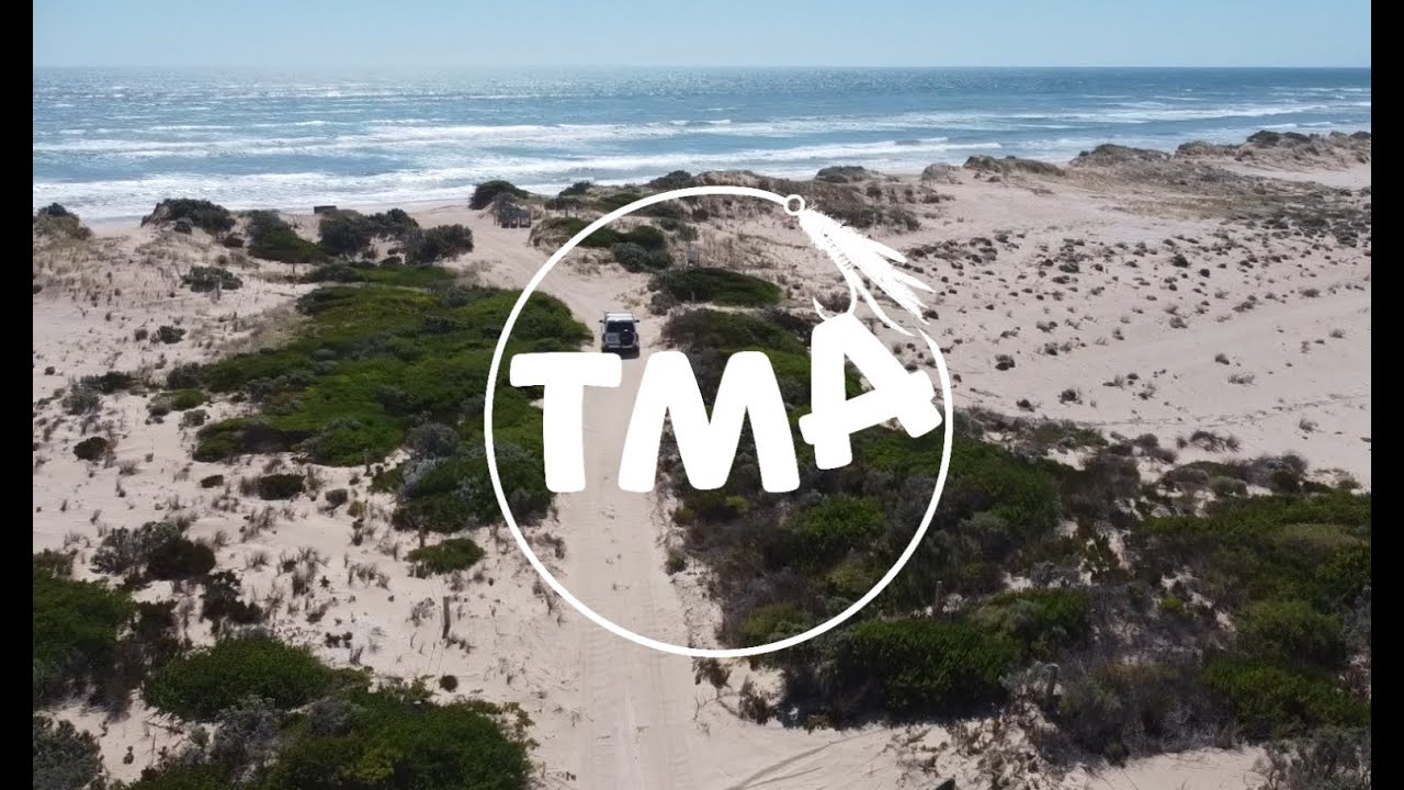 MULLOWAY TACTIC'S ! BAIT'S, RIGS, GEAR I USE.   Ep 60